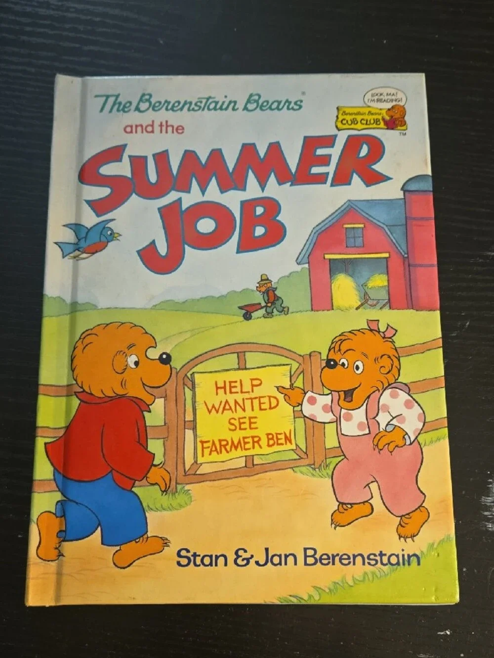 2 THE BERENSTAIN BEARS BOOKS  Visit Uncle Tex And Summer Job